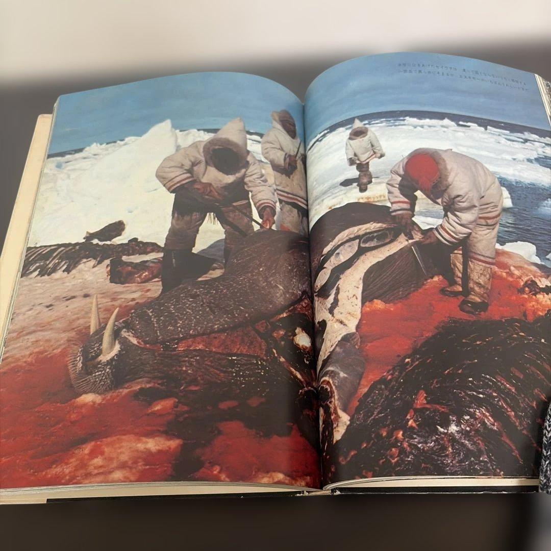 写真集 極限の民族 藤木高嶺 ニューギニア高地人 カナダエスキモー アラビア遊牧