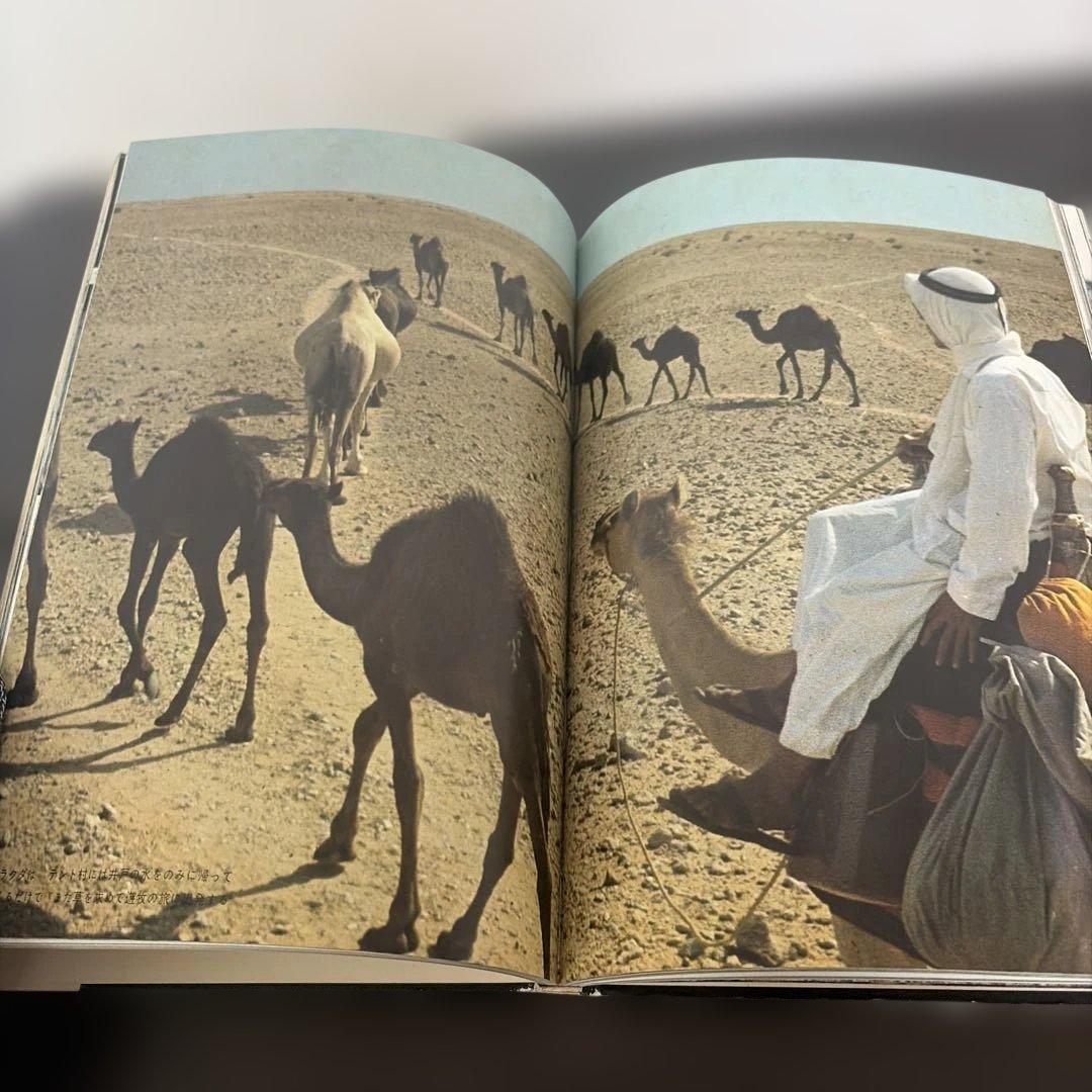 写真集 極限の民族 藤木高嶺 ニューギニア高地人 カナダエスキモー アラビア遊牧