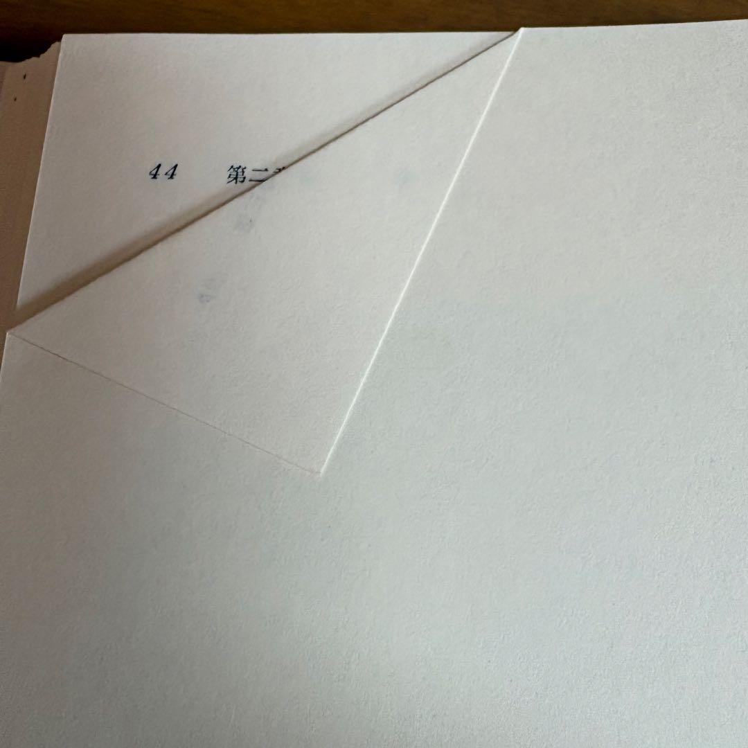 ヴァイオリン奏法と指導の原理