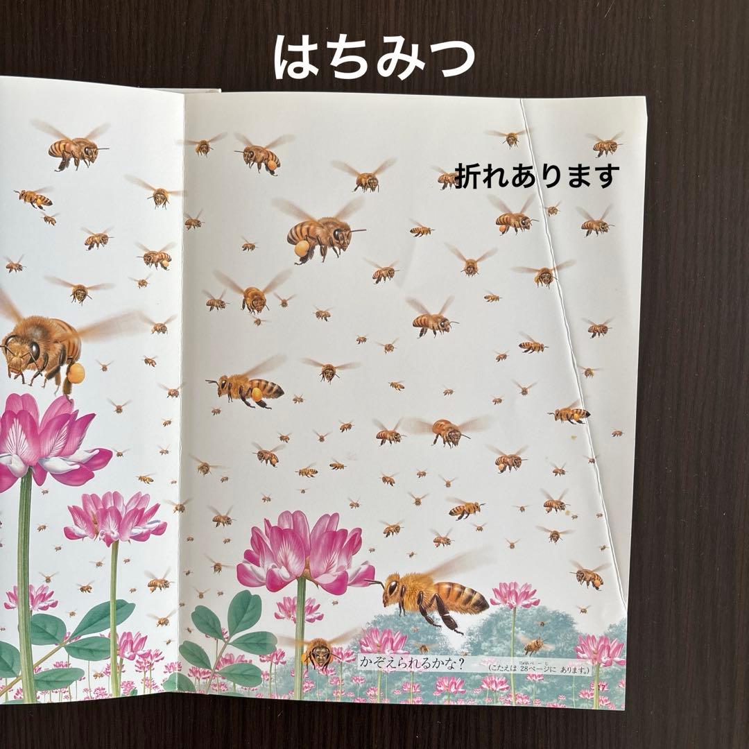しぜん　絵本　キンダーブック　60冊　セット　まとめて　① ※2冊ダブリあります