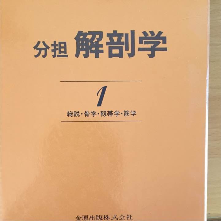 分担 解剖学