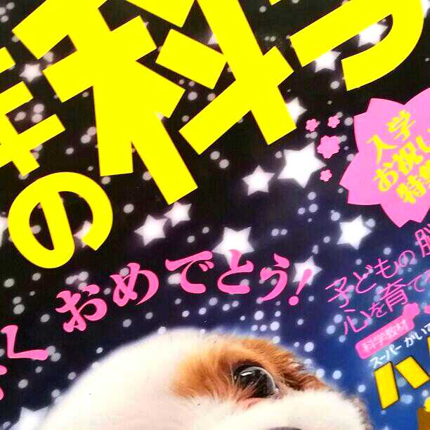 学研 1年の科学 1年分