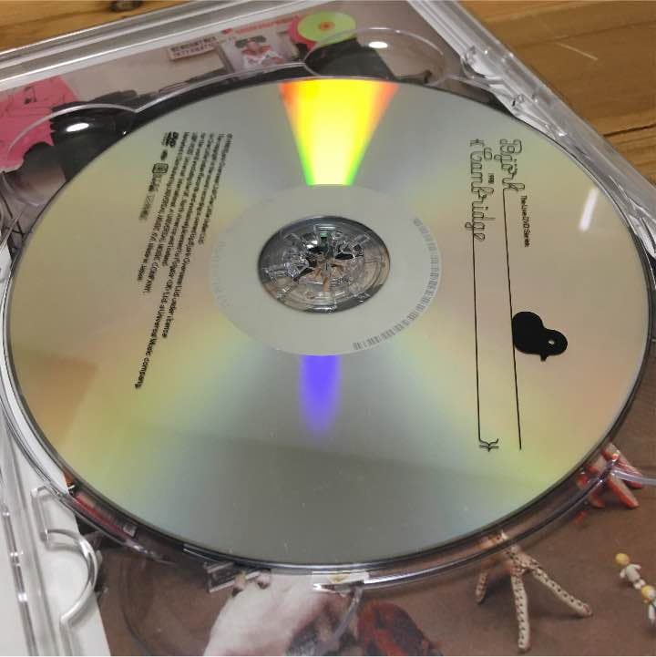 ビョーク DVD
