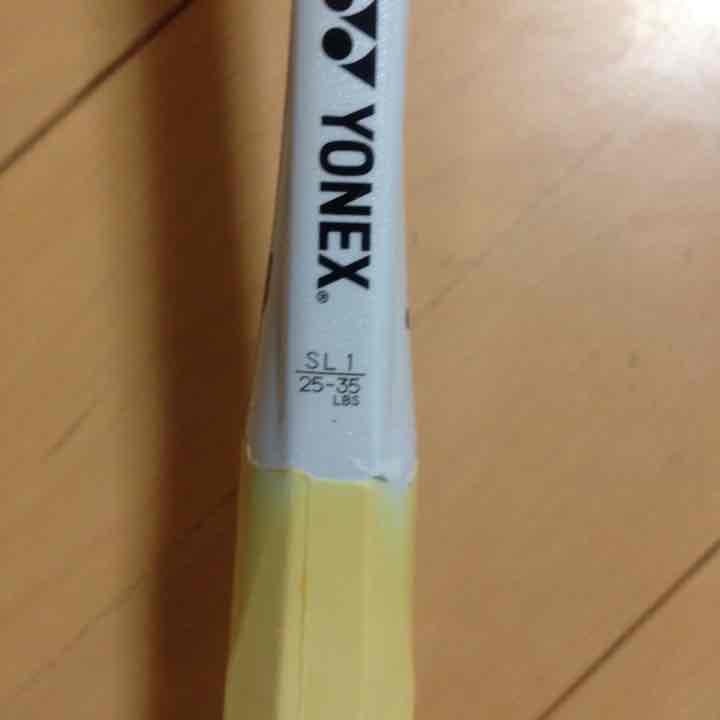 マイク  だいぶ値下げ！ NX900FX