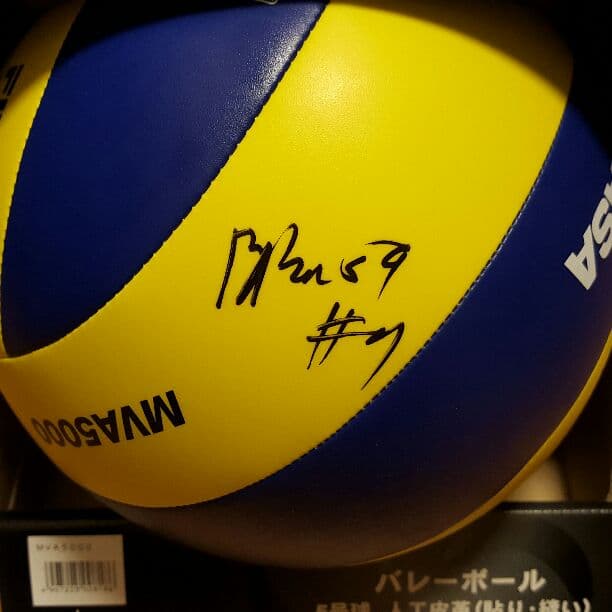 サインバレーボール セルビア