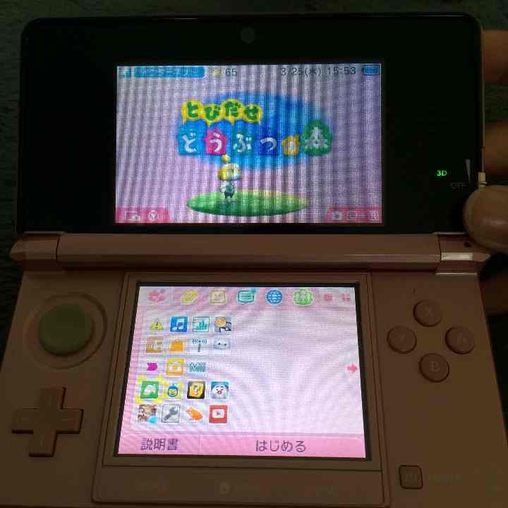 3DS 本体  どうぶつの森もはいってます！