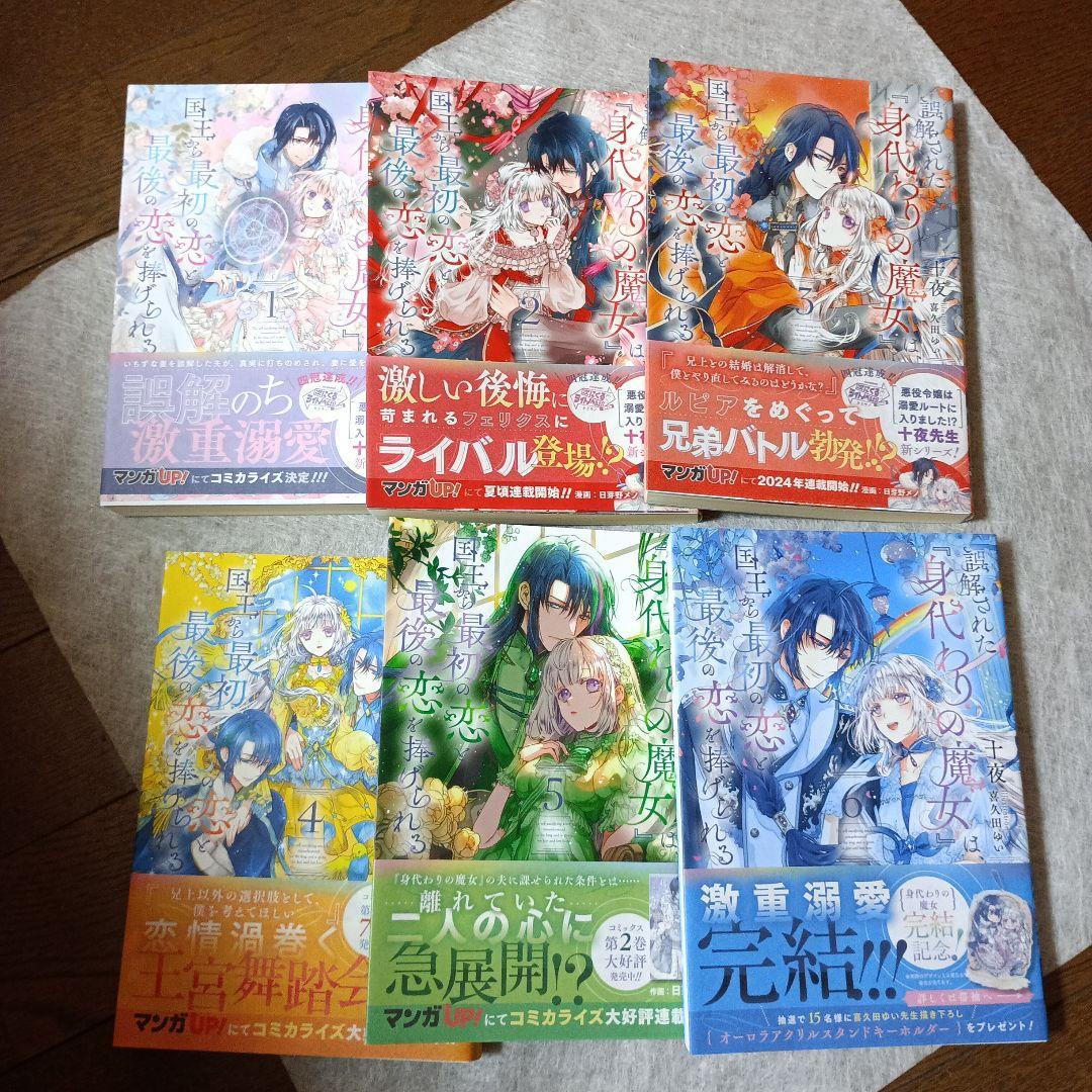 誤解された『身代わりの魔女』は、国王から最初の恋と最後の恋を捧げられる 全6巻
