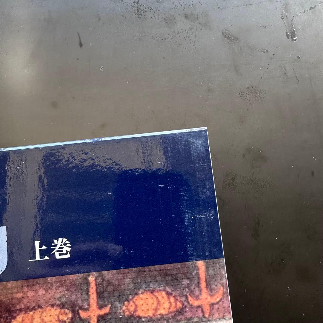 宮崎駿 風の谷のナウシカ 豪華装丁版 特装豪華版 上下巻 セット