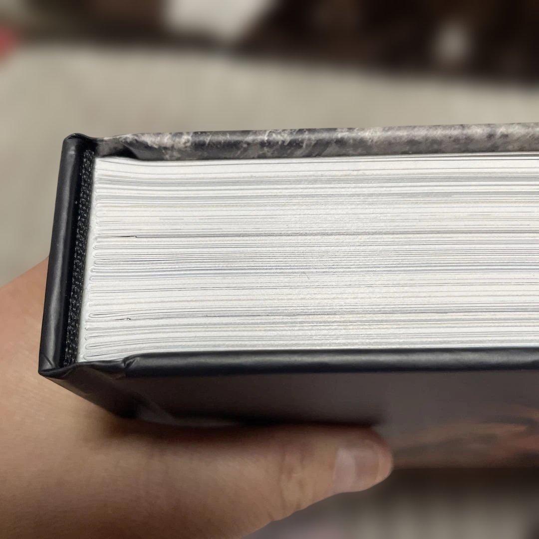 ラムセス大王展　ファラオたちの黄金　　図録