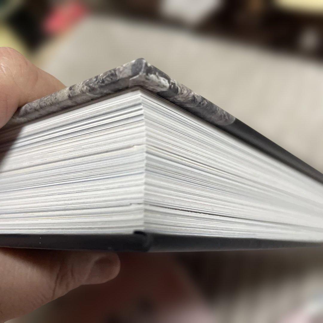 ラムセス大王展　ファラオたちの黄金　　図録