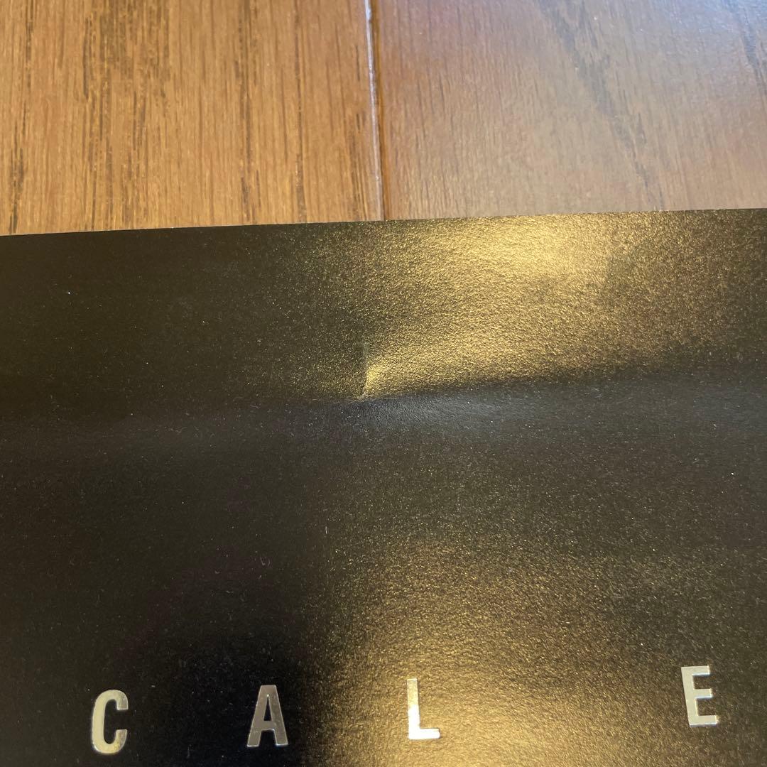 メタルギアソリッド2 雷電 スネーク ポスター