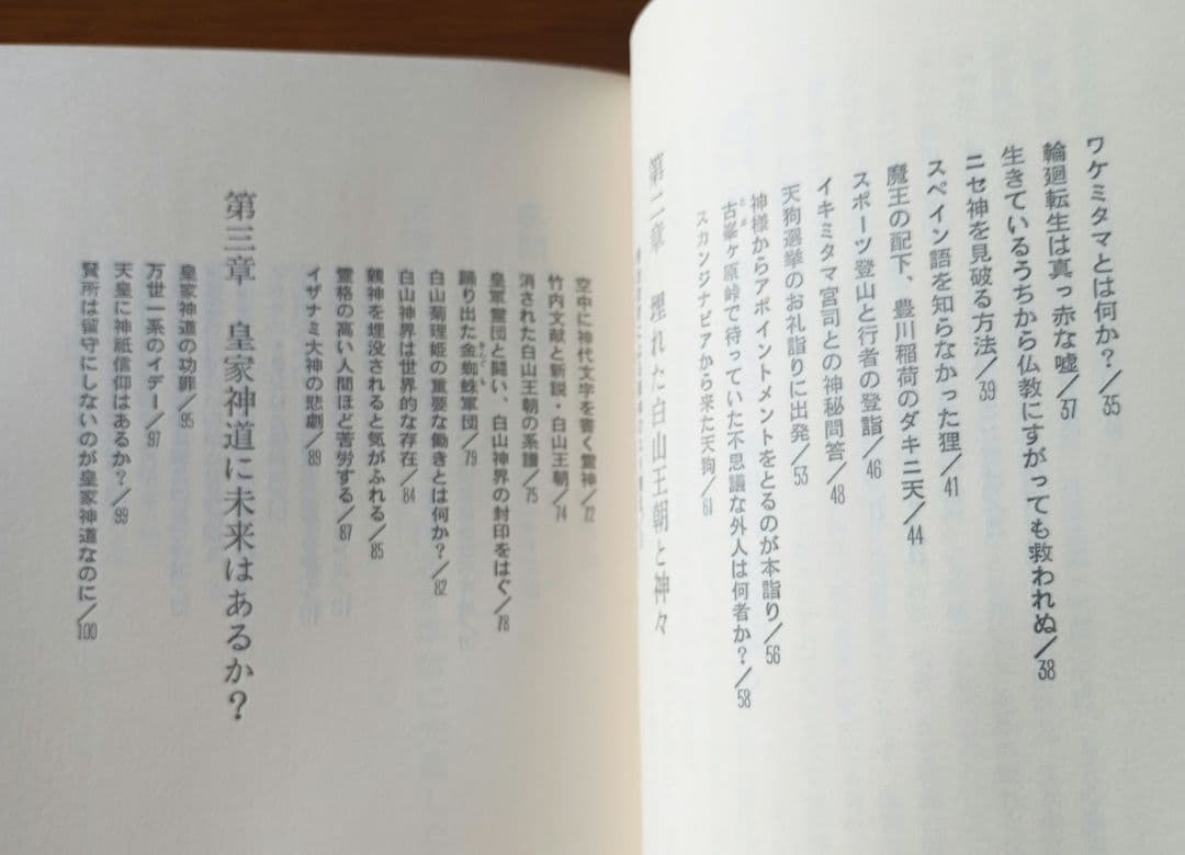 神々の黙示録: 謎に包まれた神さま界のベールを剥ぐ