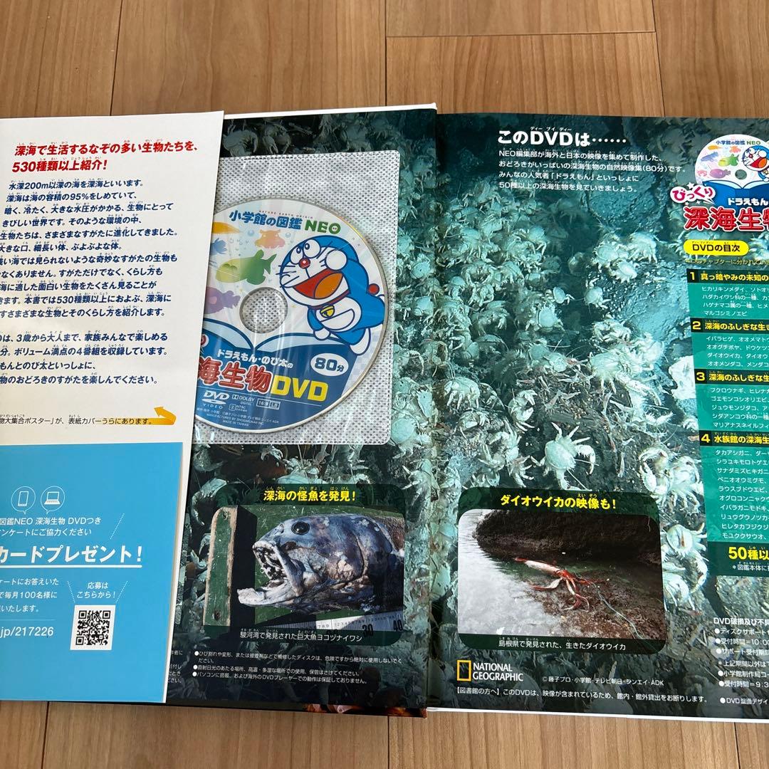 定価26840円　小学館の子ども図鑑　NEO　11冊　セット　DVD付