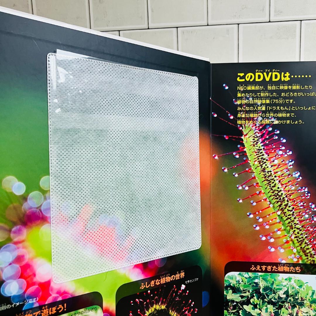 【定番の図鑑】小学館の図鑑NEO10冊セット 昆虫 大むかしの生物 他