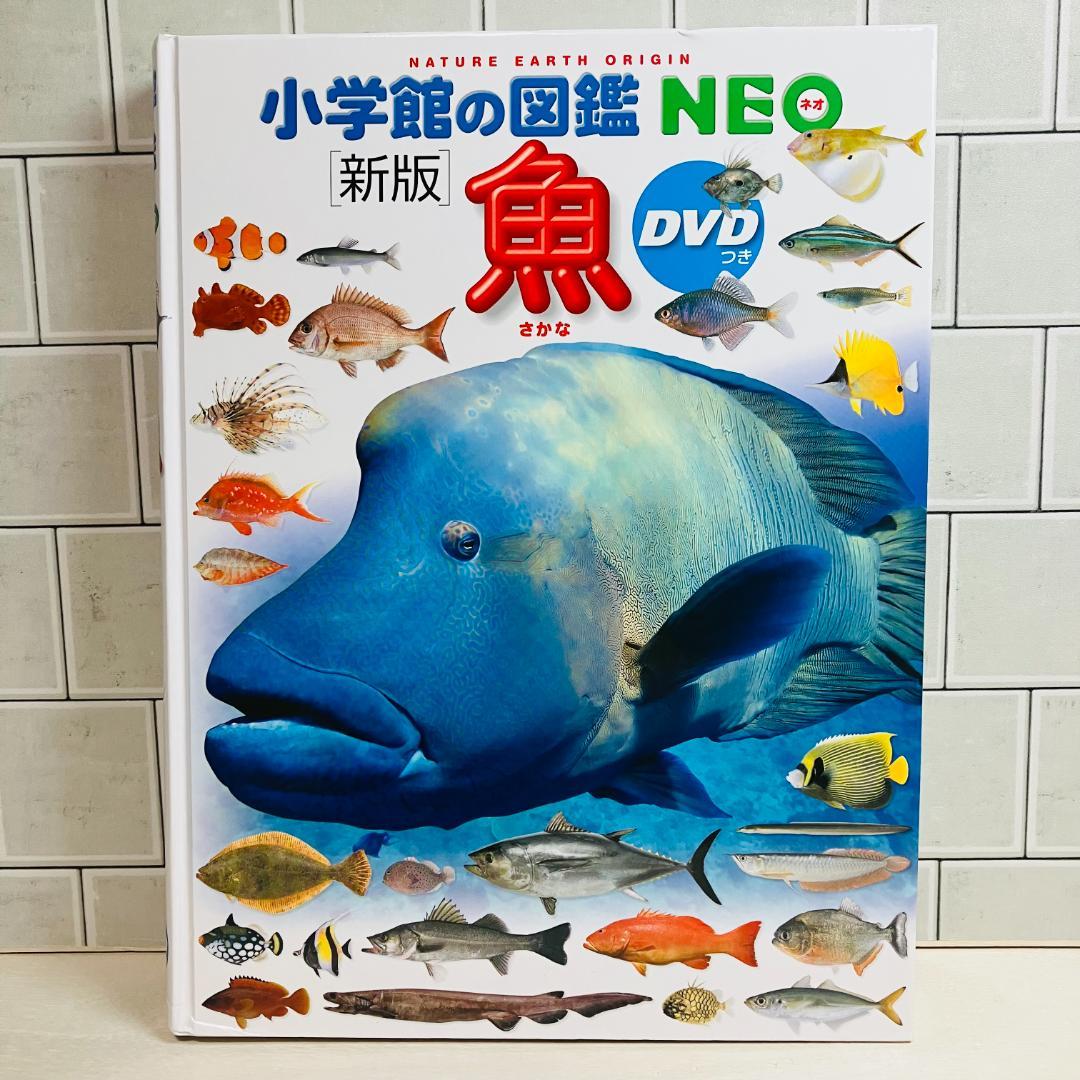 【定番の図鑑】小学館の図鑑NEO10冊セット 昆虫 大むかしの生物 他