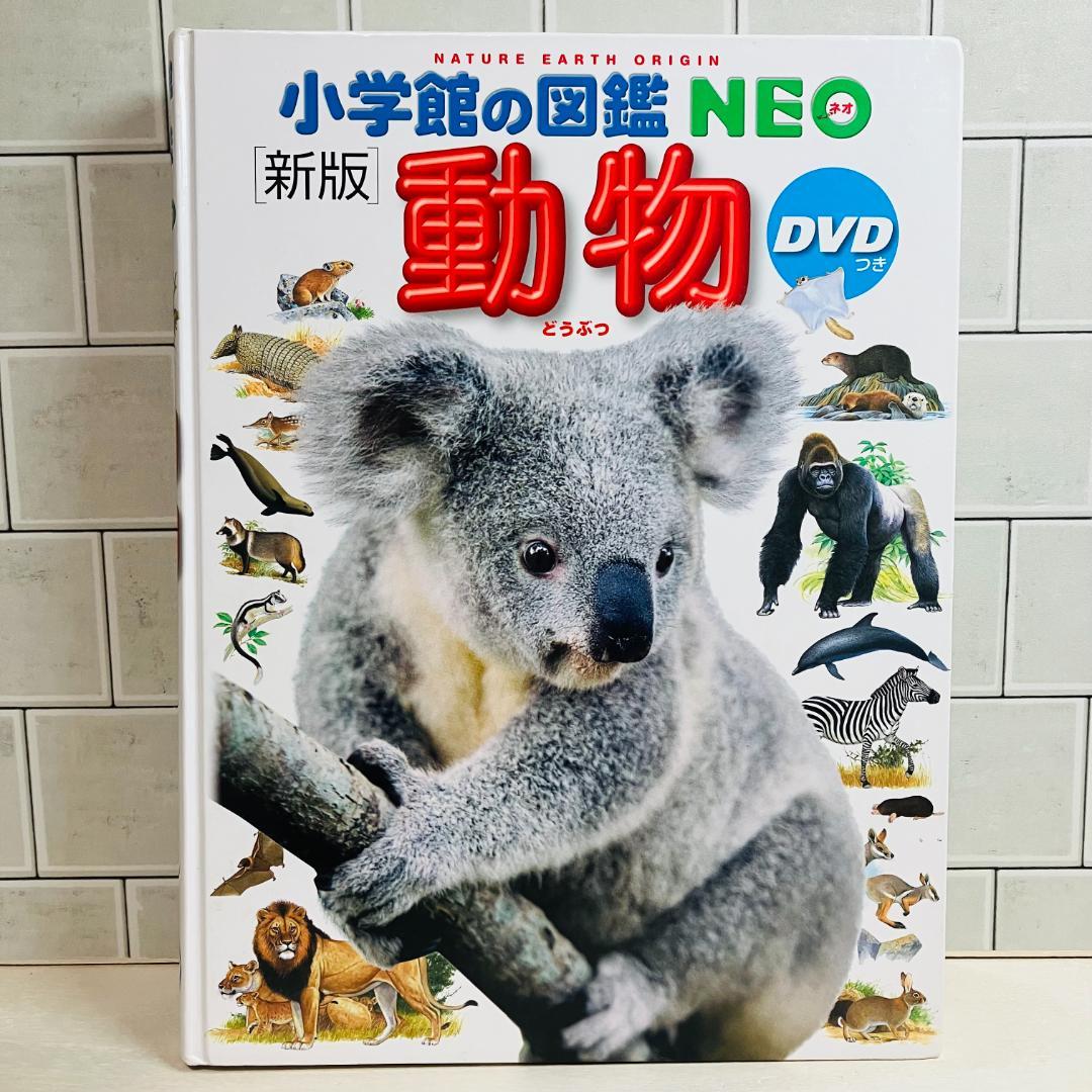 【定番の図鑑】小学館の図鑑NEO10冊セット 昆虫 大むかしの生物 他