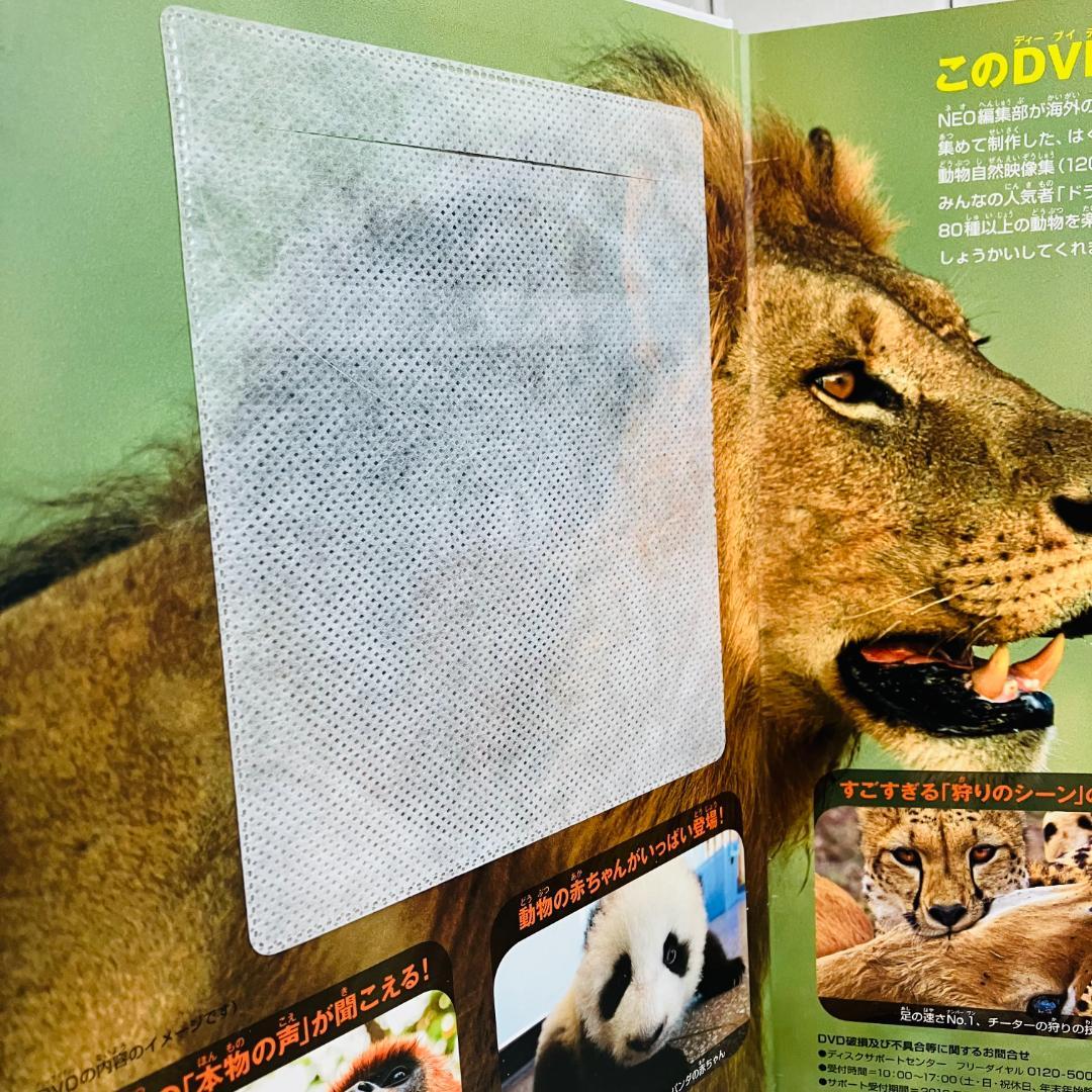 【定番の図鑑】小学館の図鑑NEO10冊セット 昆虫 大むかしの生物 他