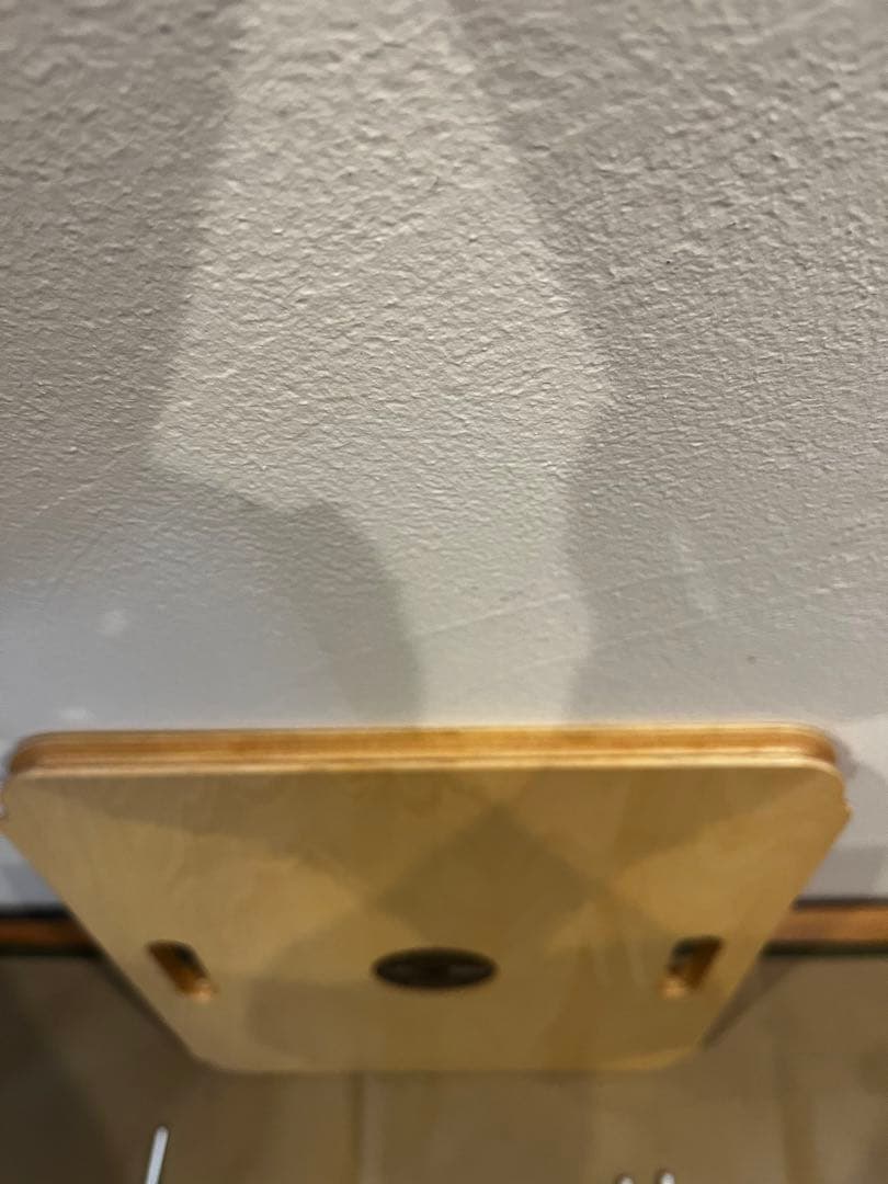 jing 送料込み！38explore パレ子　BIGロゴ