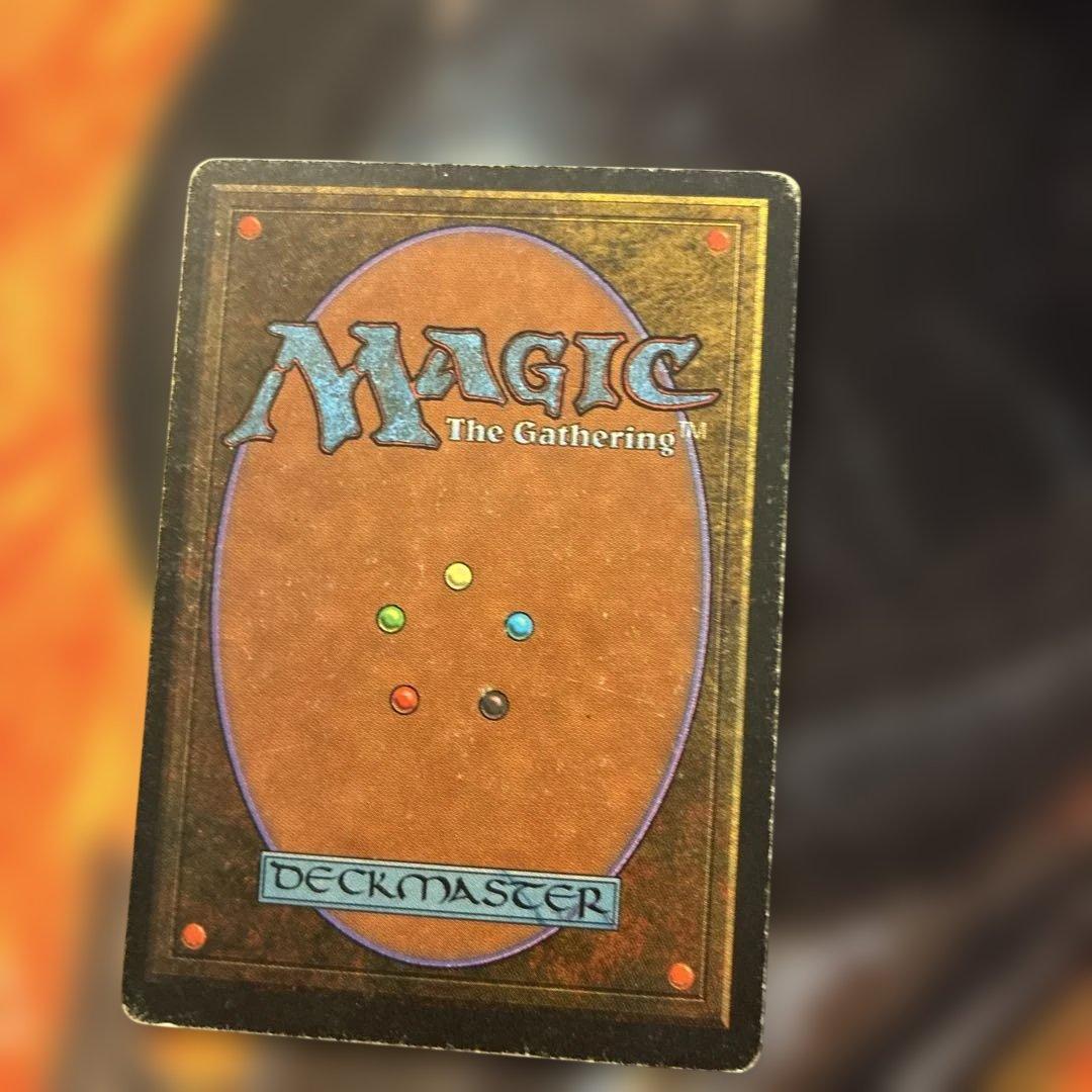 森の知恵　leg 英語版