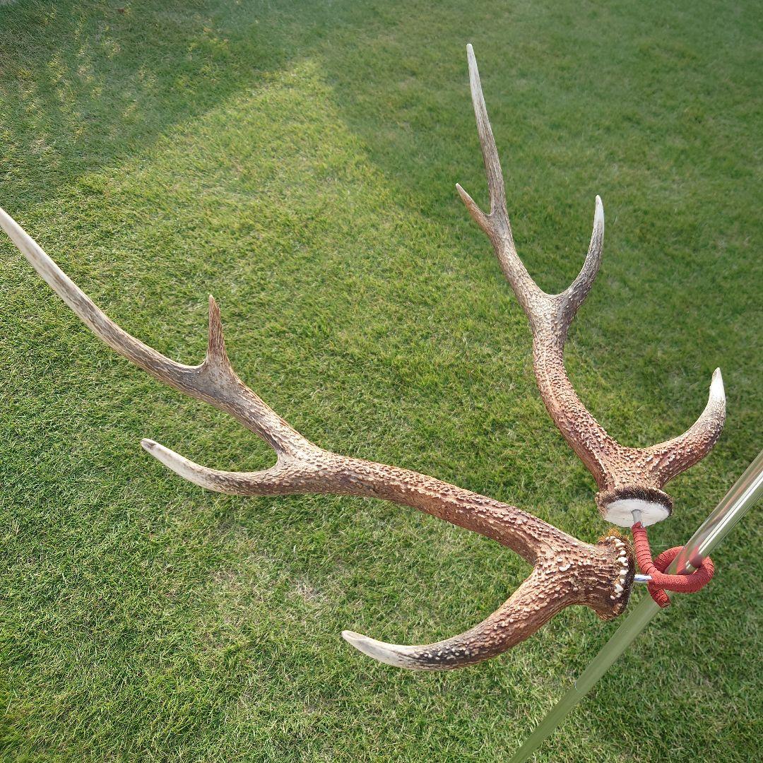 ２本セット　鹿の角　ランタンハンガー　スウェード加工