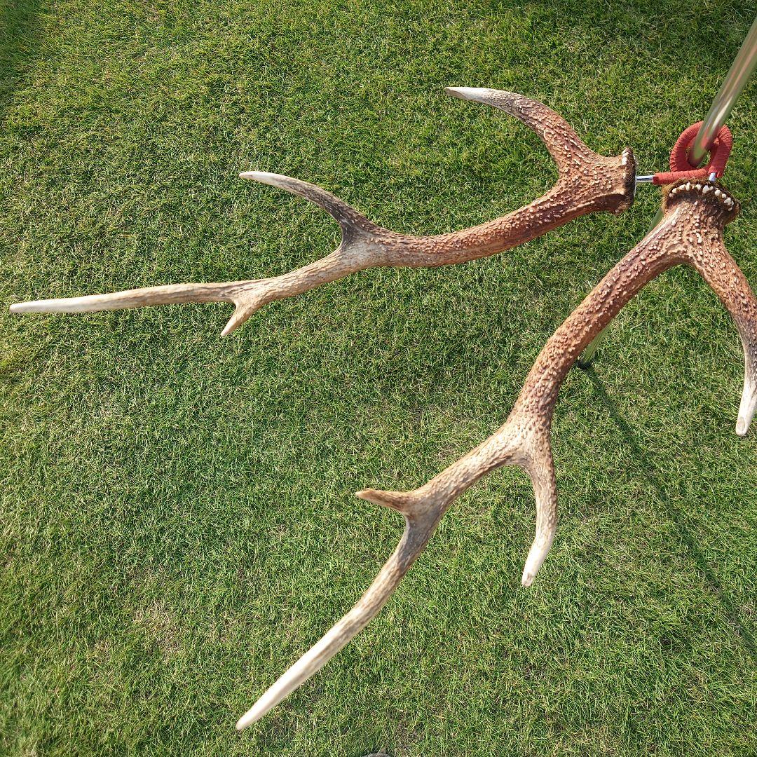 ２本セット　鹿の角　ランタンハンガー　スウェード加工