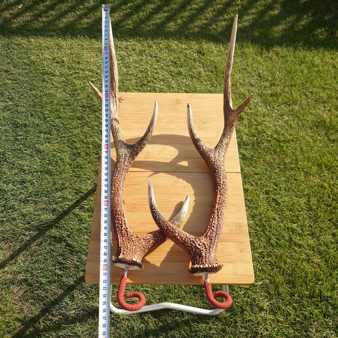 ２本セット　鹿の角　ランタンハンガー　スウェード加工