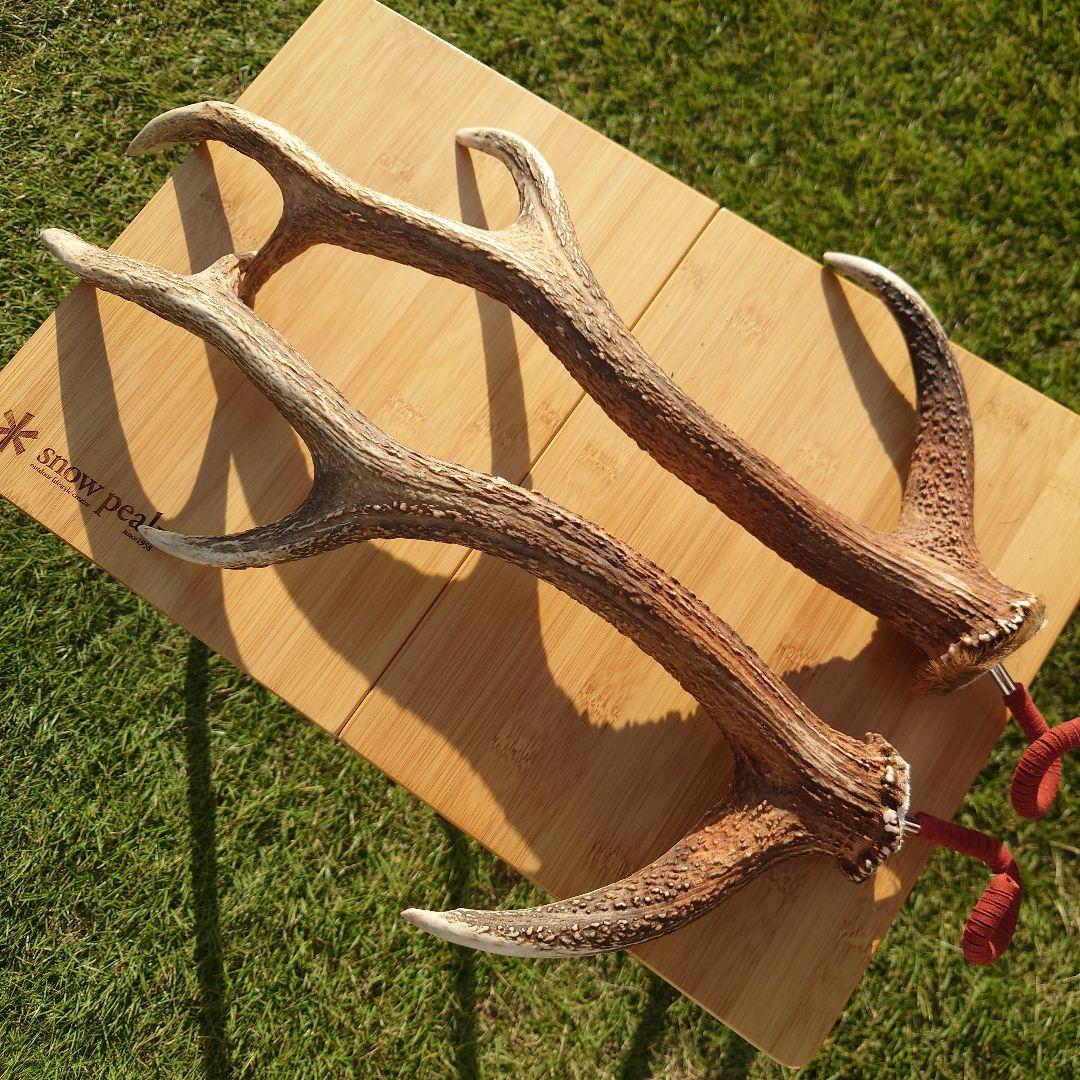 ２本セット　鹿の角　ランタンハンガー　スウェード加工