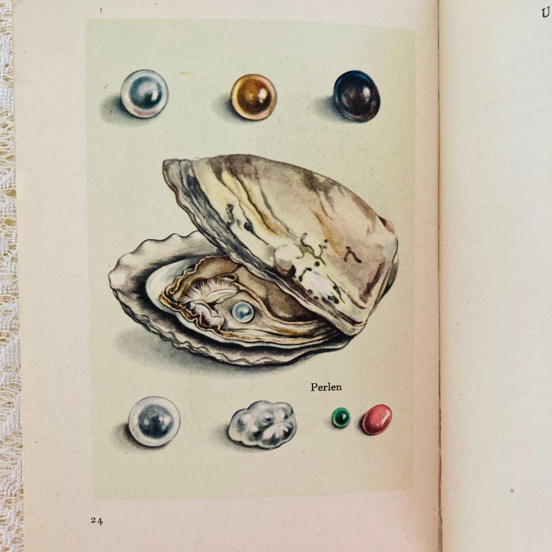 洋書　古書　インゼル文庫 No. 54　小さな鉱物の本　宝石　美しいイラスト♡