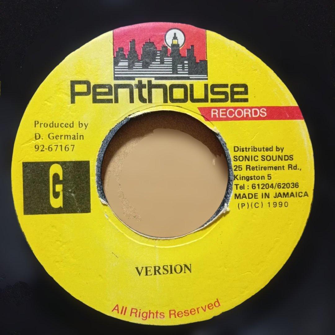 wayne wonder - eternal flame レコード レゲエ レア