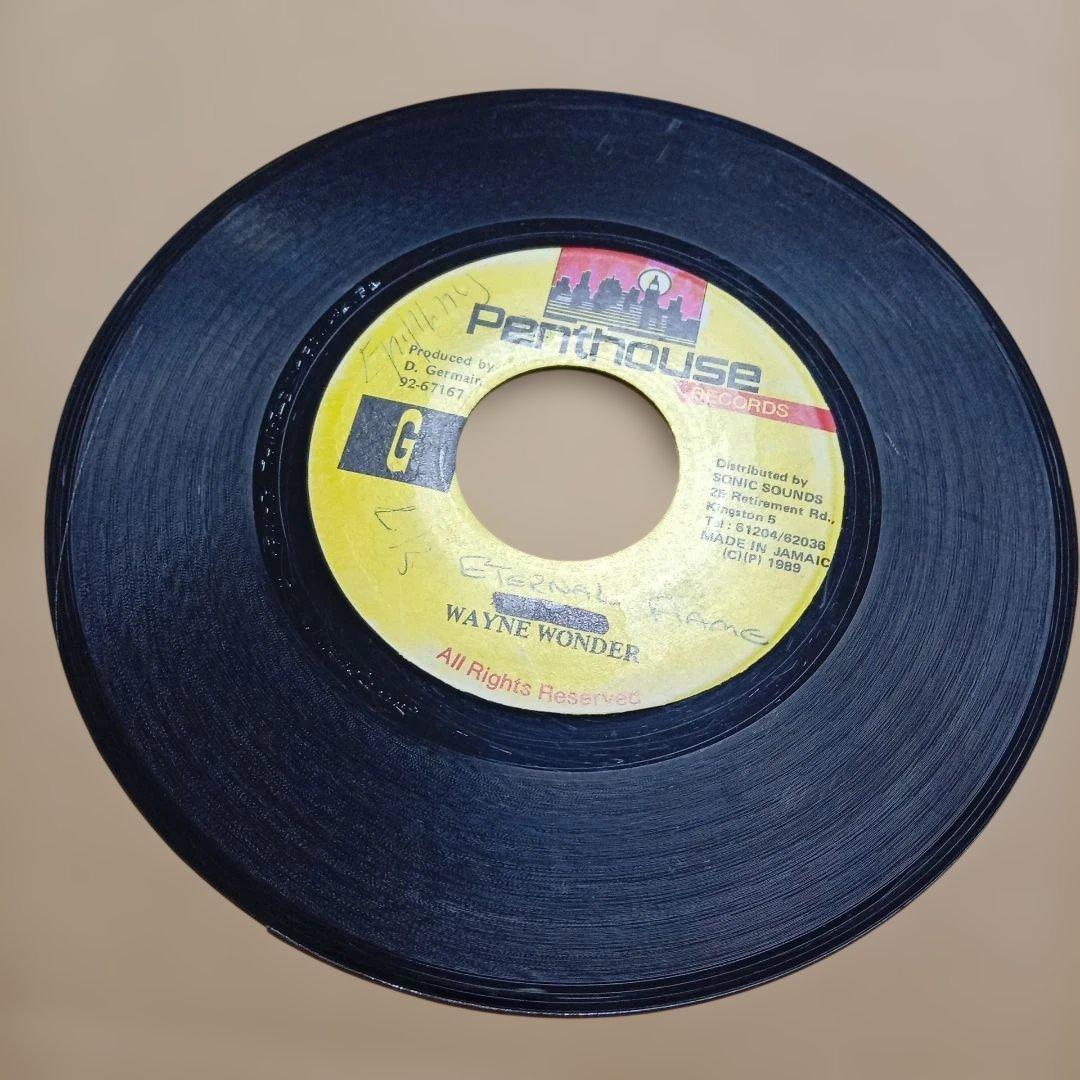 wayne wonder - eternal flame レコード レゲエ レア