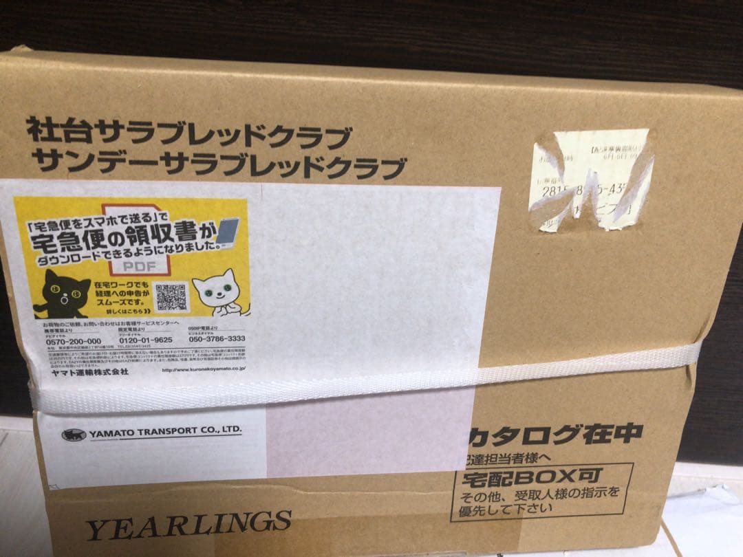 未開封2023年 社台サラブレッドクラブ サンデーサラブレッドクラブ カタログ