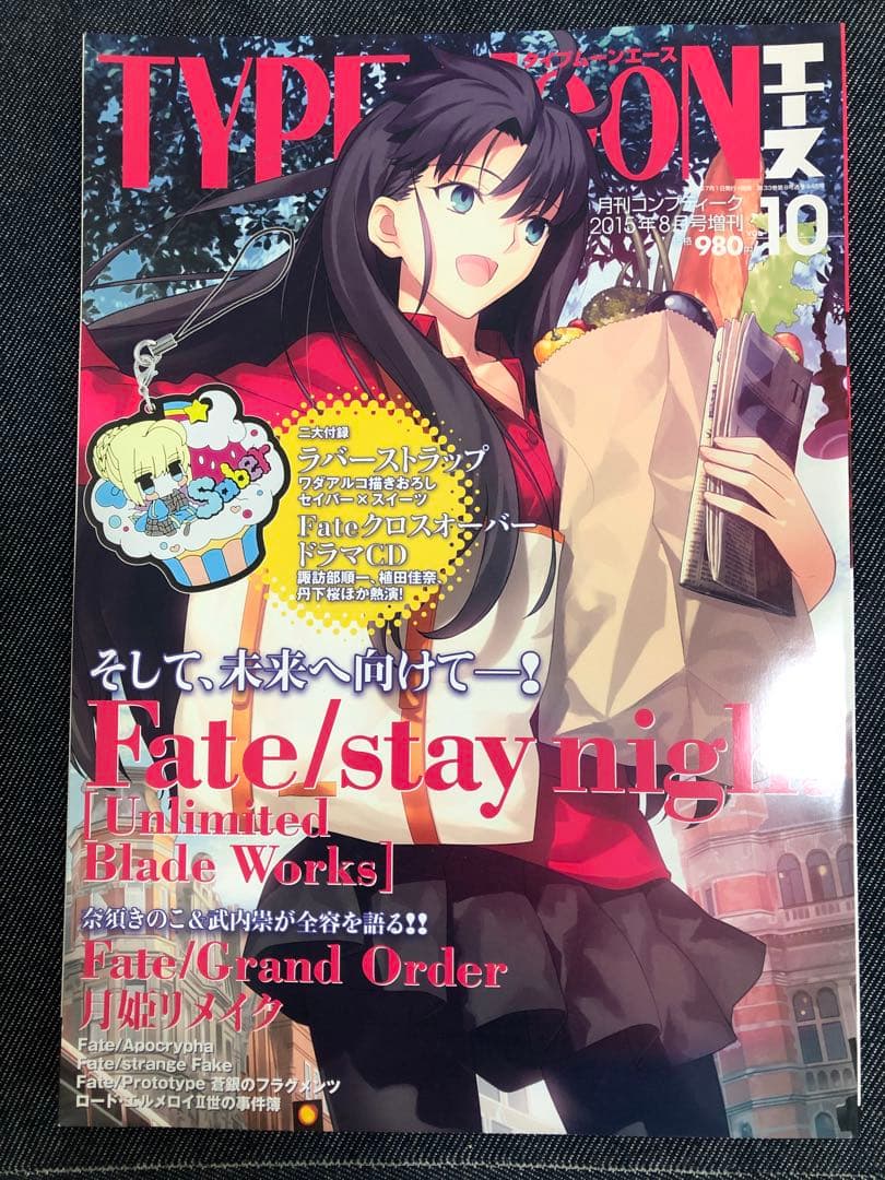 【中古品】【希少品】TYPE-MOONエース 11冊セット（付録一部なし）