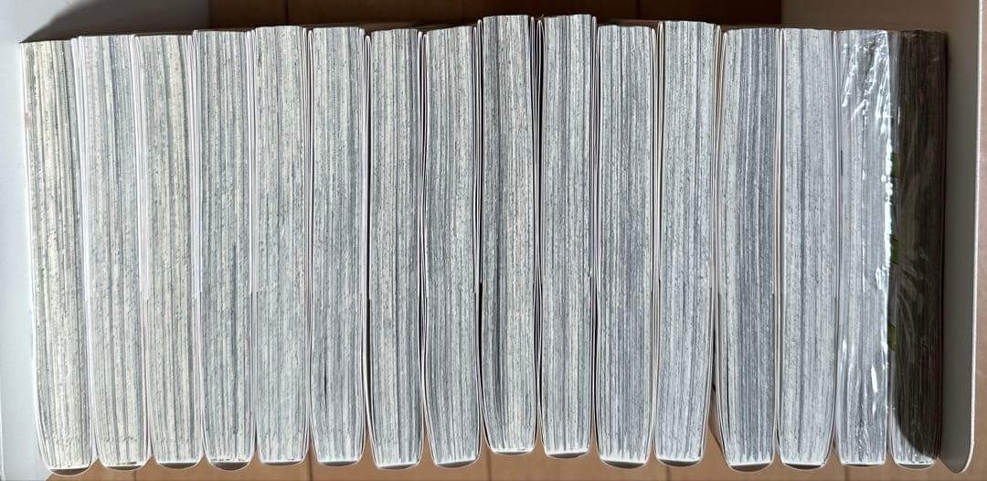 星降る王国のニナ 1〜16巻 特典付セット（11巻特装版） リカチ