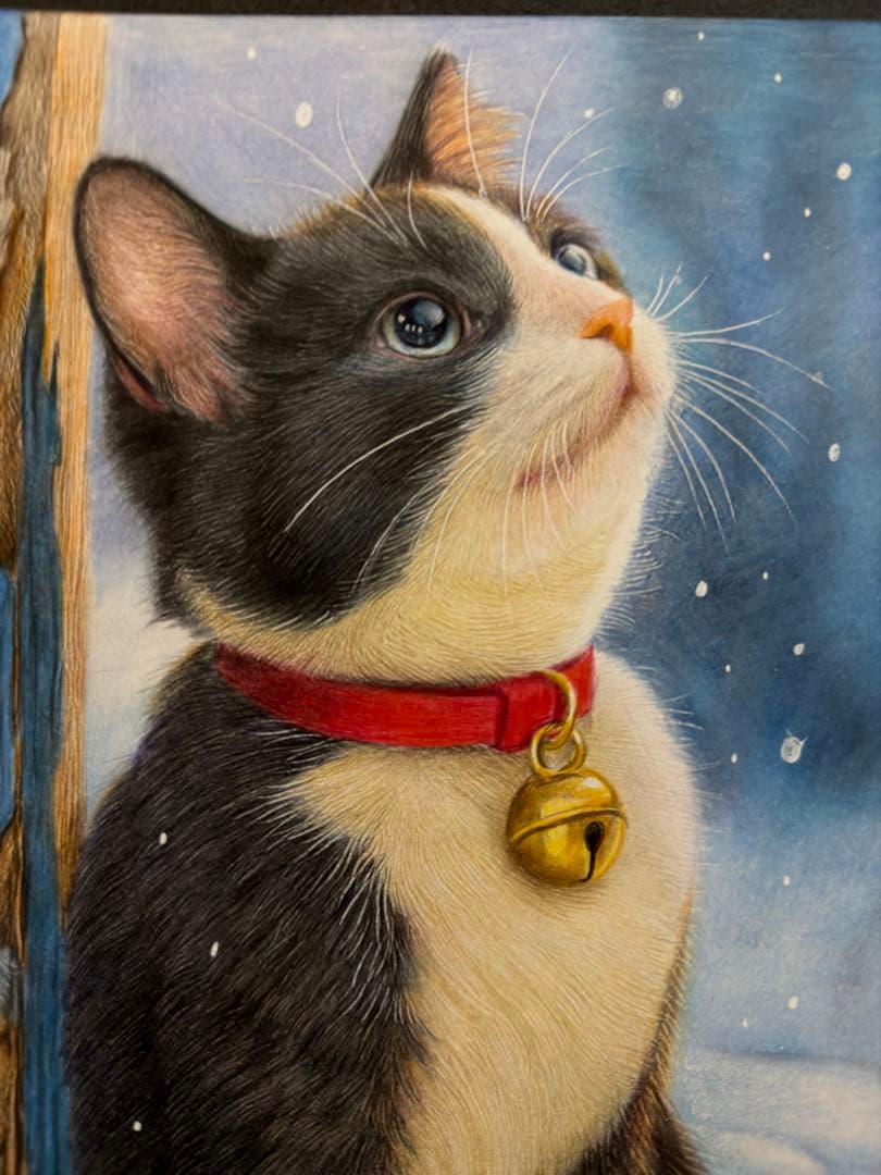 色鉛筆画A4 雪を見つめるハチワレ猫