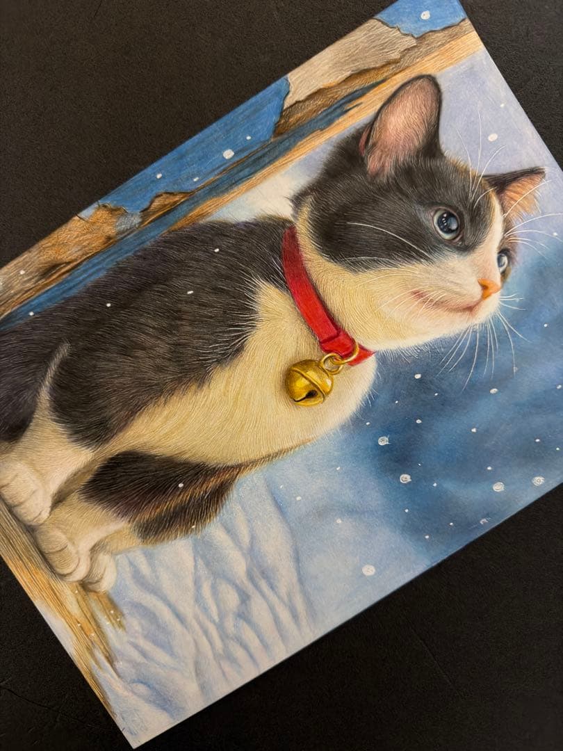 色鉛筆画A4 雪を見つめるハチワレ猫