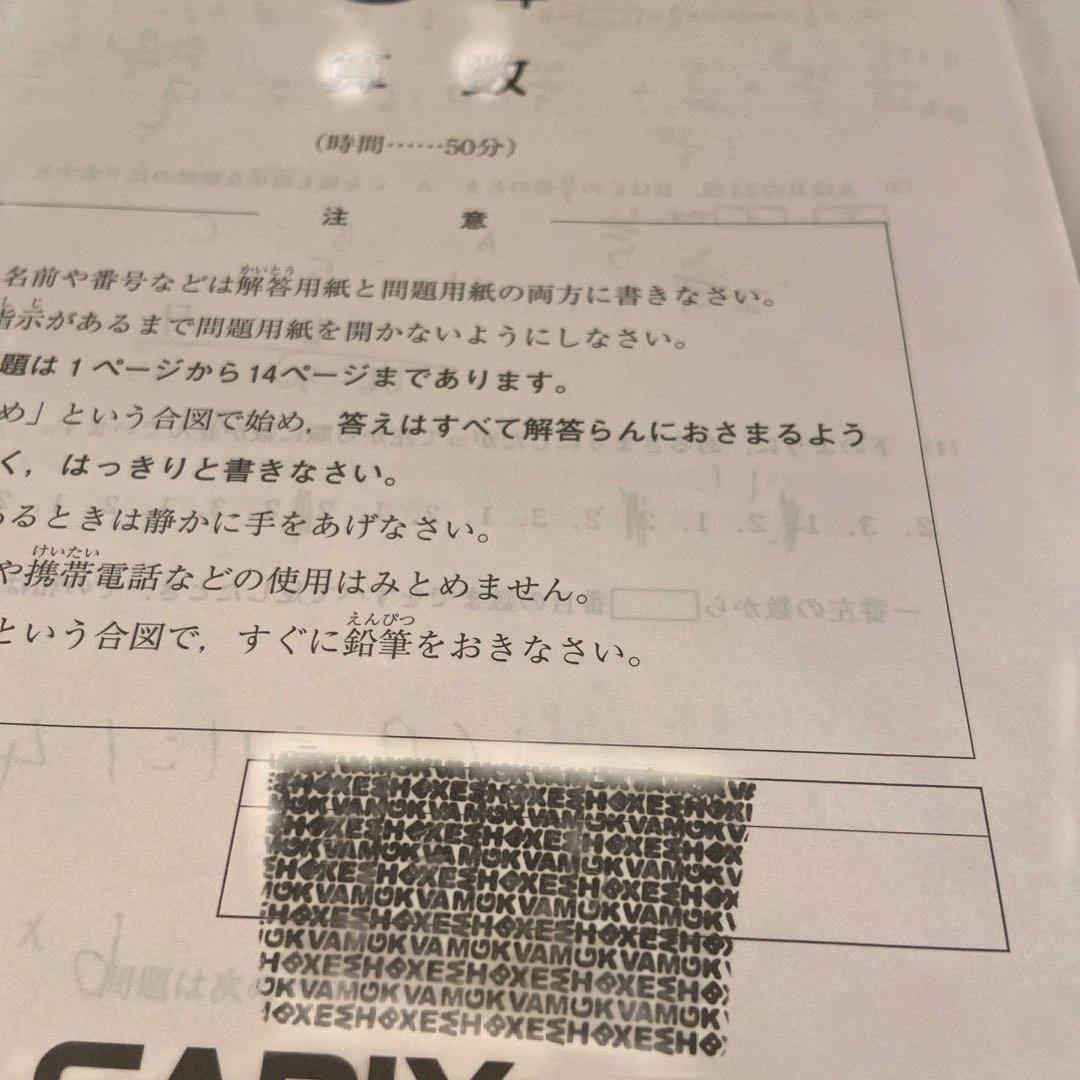 サピックス 5年生テスト通年一式➕おまけ4年時入室テスト復習テスト15回分