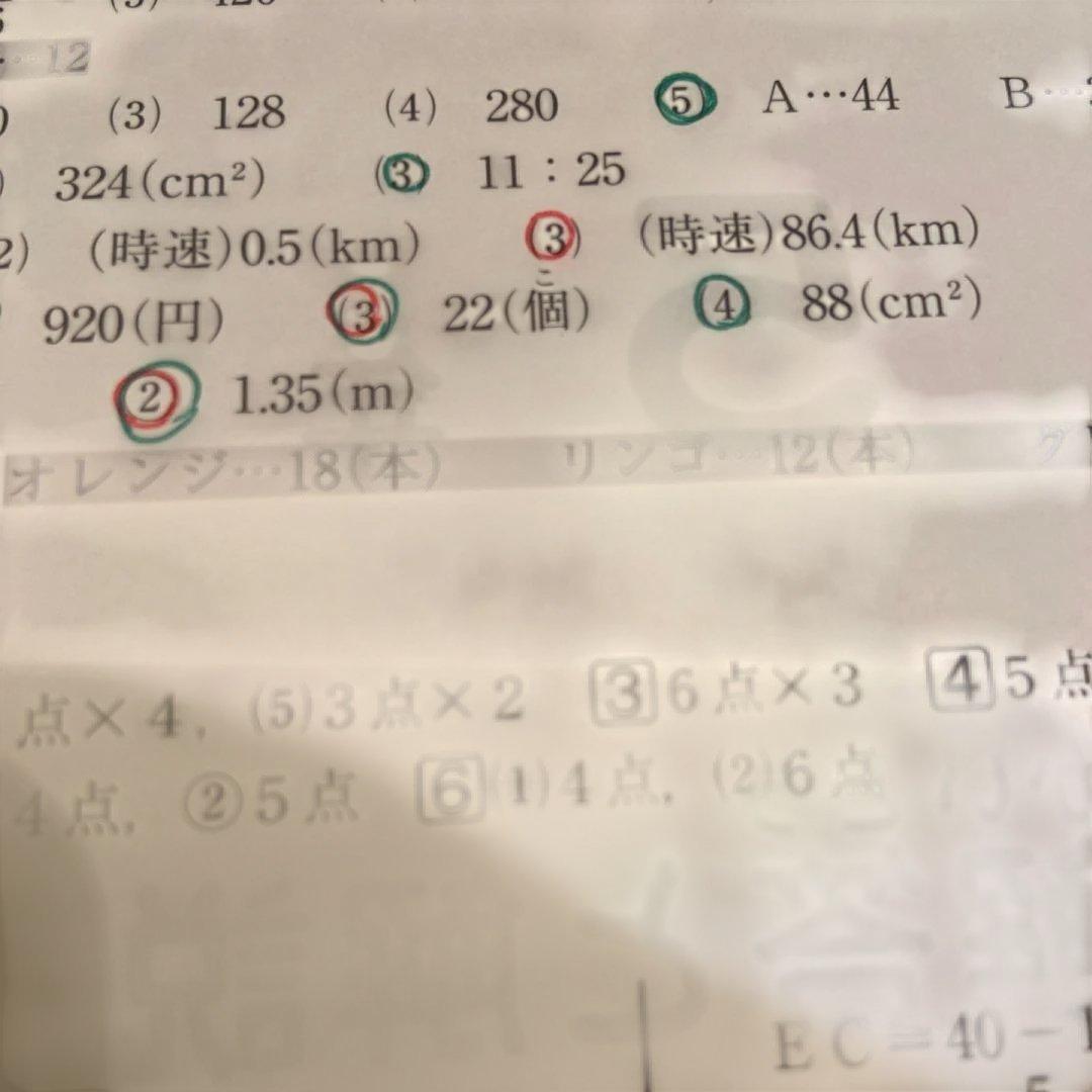 サピックス 5年生テスト通年一式➕おまけ4年時入室テスト復習テスト15回分