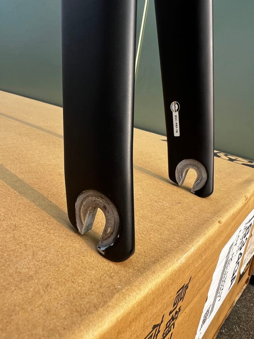 ブリヂストン　カーボンフレーム　ＴＥ９　Ｌサイズ