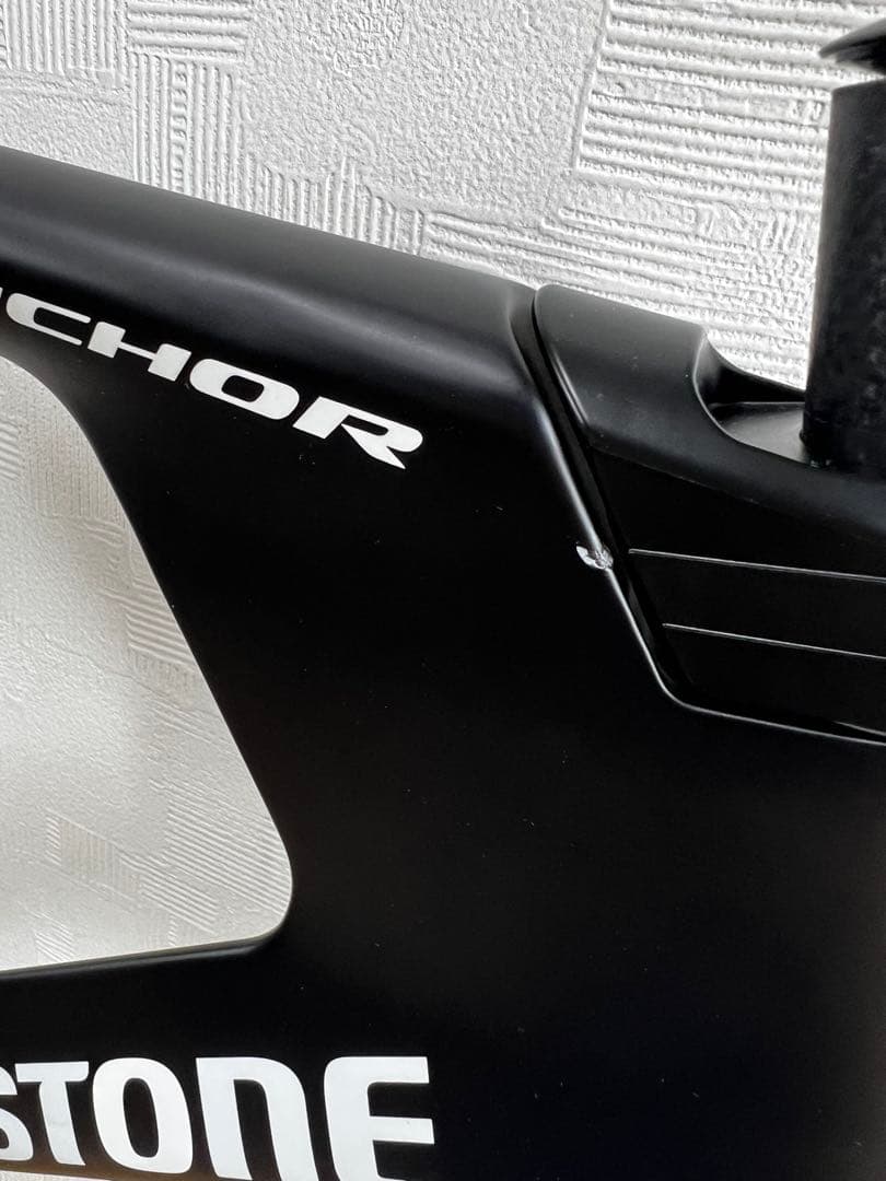 ブリヂストン　カーボンフレーム　ＴＥ９　Ｌサイズ