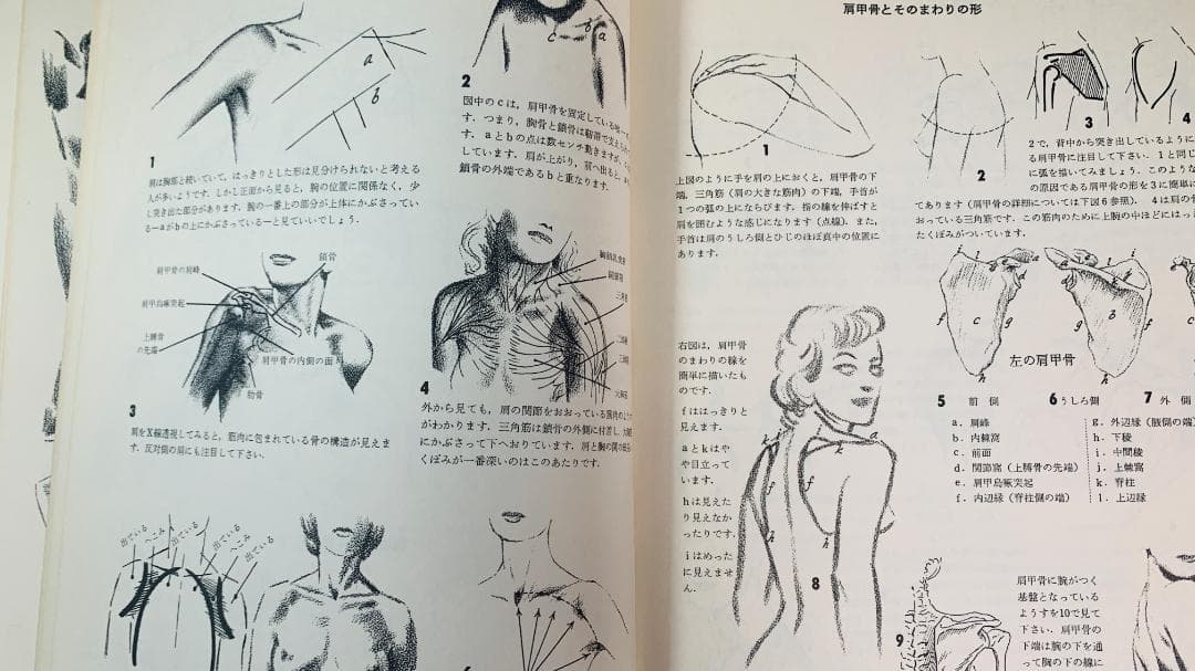 超レア1978年で47年前◆『人体のデッサン技法』