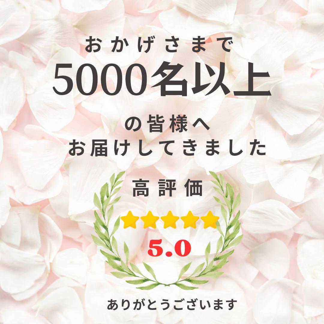 【特大100cm】新年を寿ぐ 豪華絢爛しめ縄リース・しめ飾り 商業用しめ縄