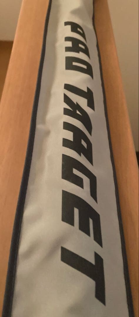 稀少極美品スーパーアモルファス穂先ライト付振出投竿