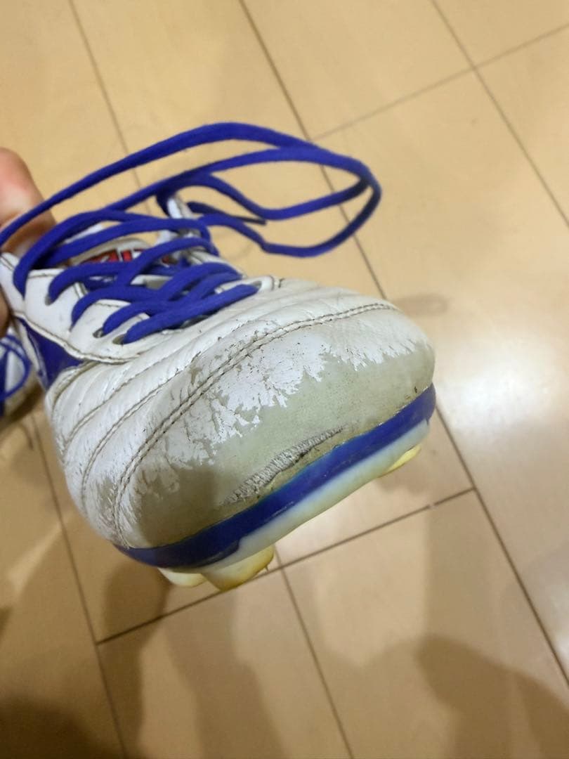 モレリア2 青限定色　田中碧