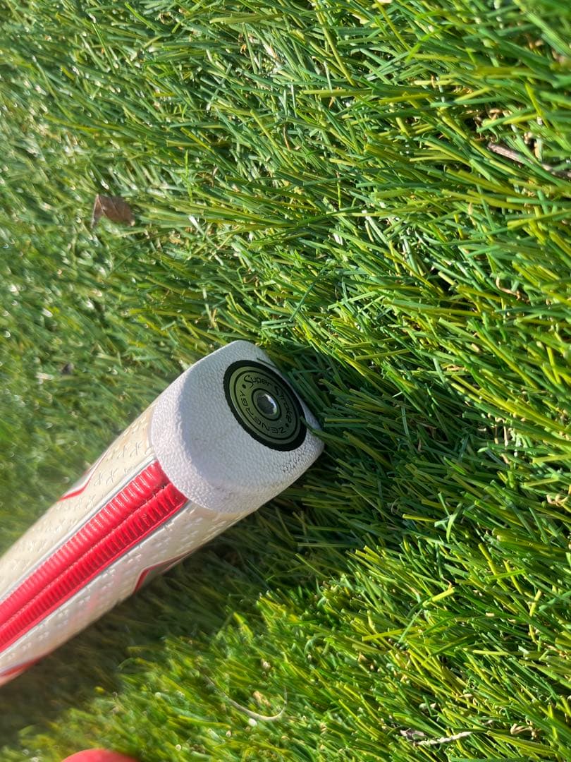 a*5様 TaylorMade(テーラーメイド) Spider GT TM1