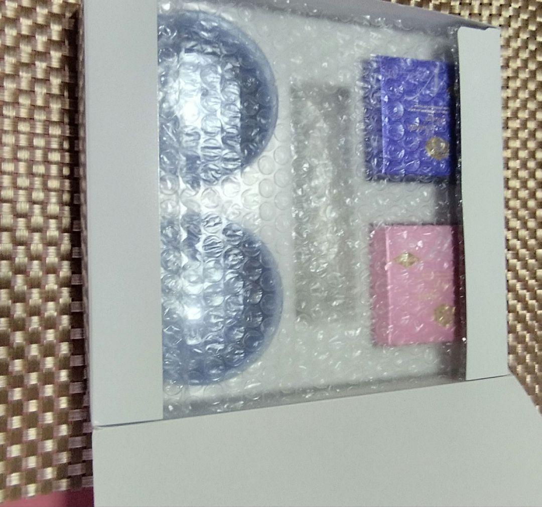 ソフィールの美容洗顔石鹸です 朝用と夜用の2種で容器付きです。 泡立てネット付き