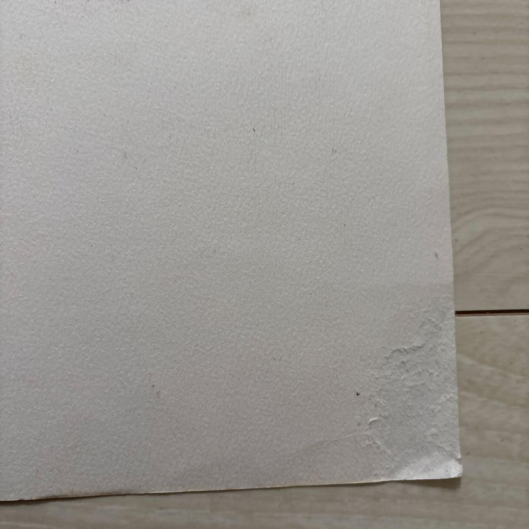 当時物 ヴィンテージ DAVID HOCKNEY デイビッドホックニー ポスター