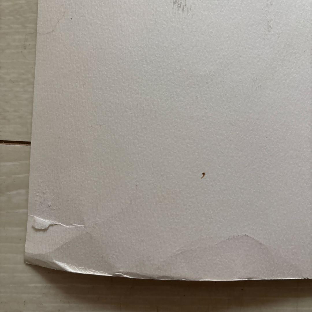 当時物 ヴィンテージ DAVID HOCKNEY デイビッドホックニー ポスター