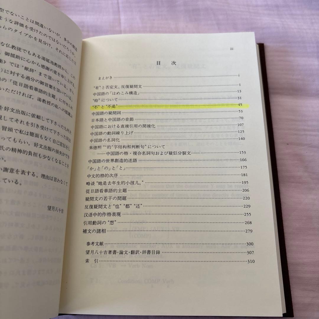 【美品】現代中国語の諸問題　著者:望月八十吉（函付き)