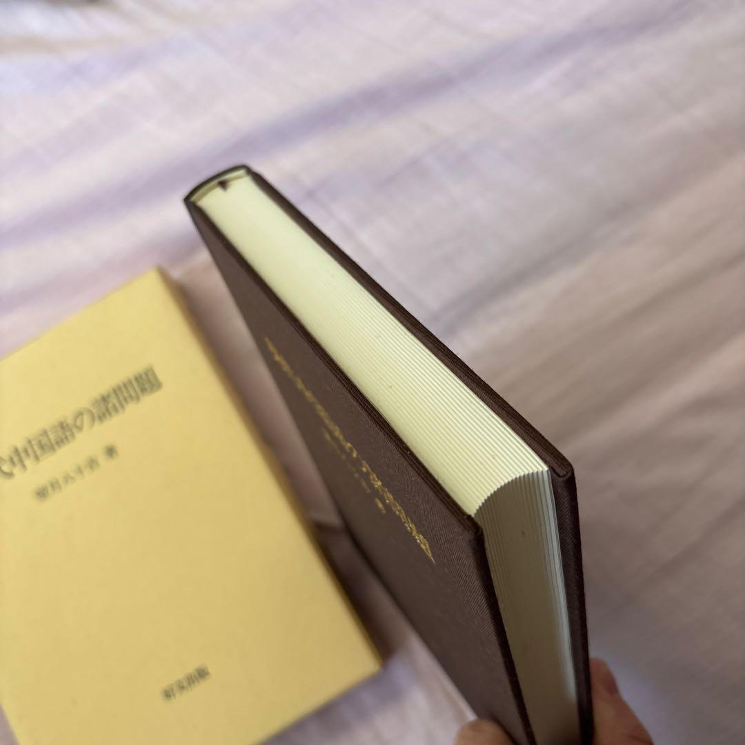 【美品】現代中国語の諸問題　著者:望月八十吉（函付き)