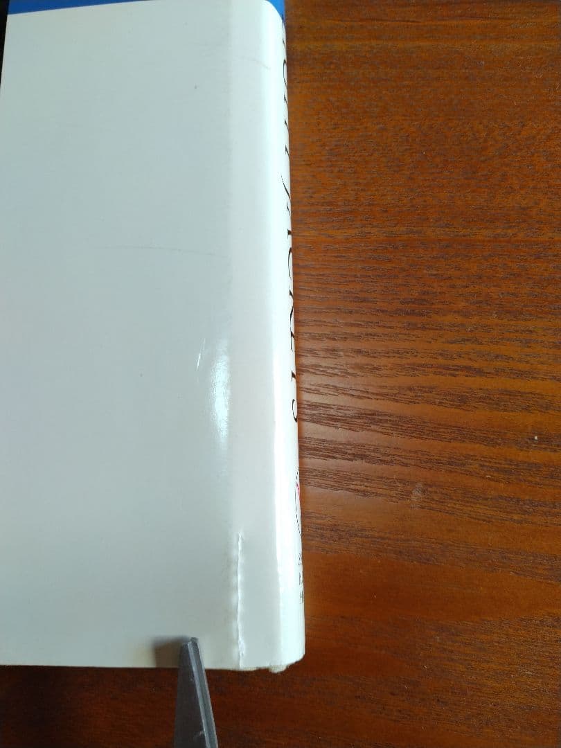 AMERICAN FLIGHT JACKETS フライトジャケットバーガス